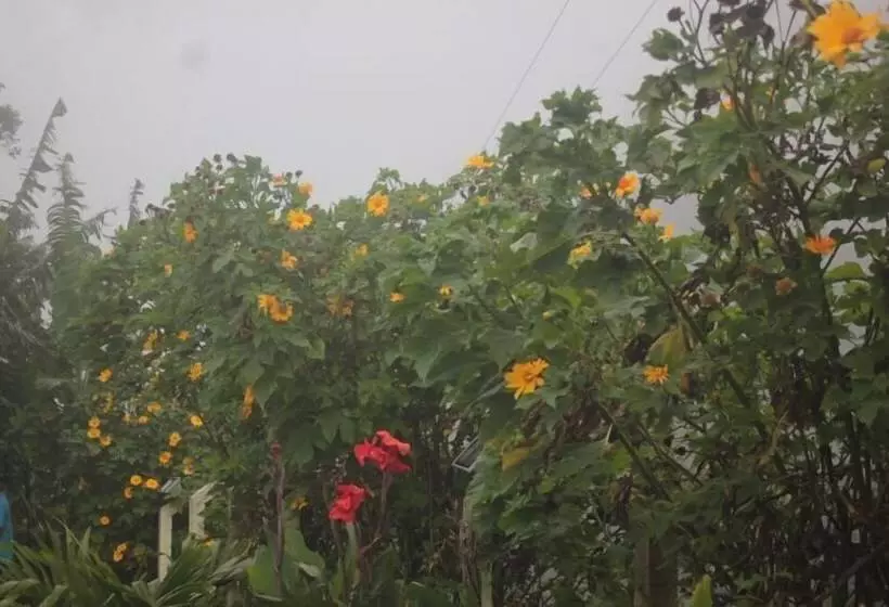 ホテル Val Paraiso Pousada