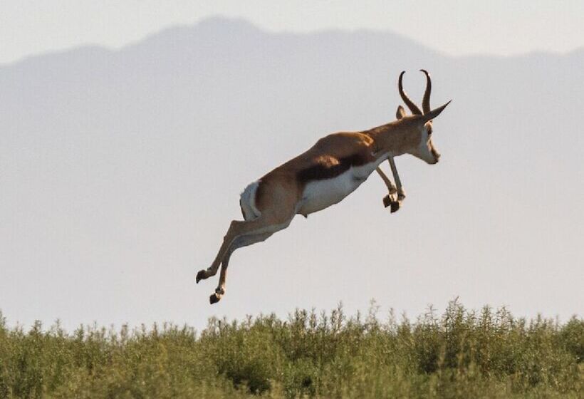 Melozhori Game Reserve