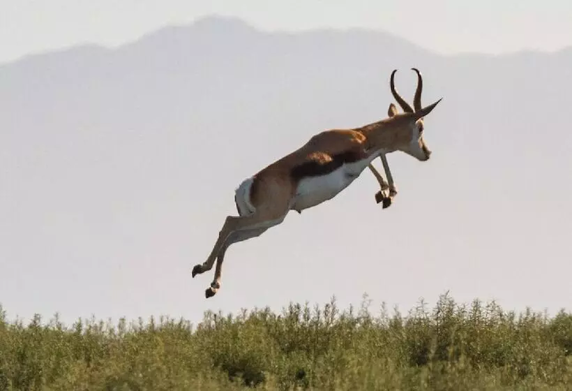 Melozhori Game Reserve