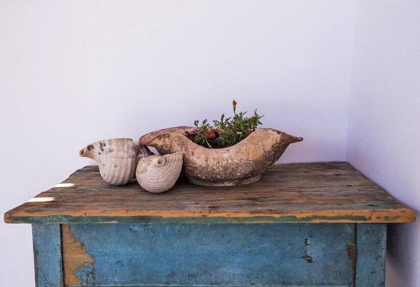 بنسيون Ailouros Guest House