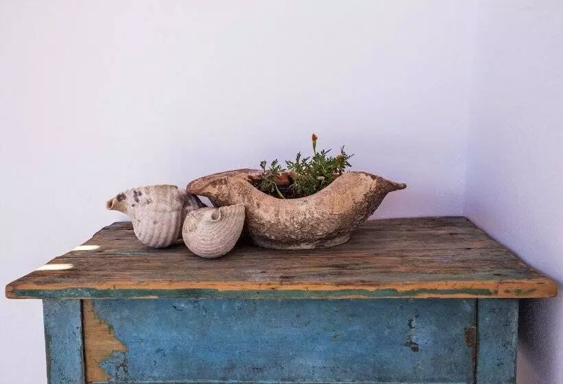 ペンション Ailouros Guest House