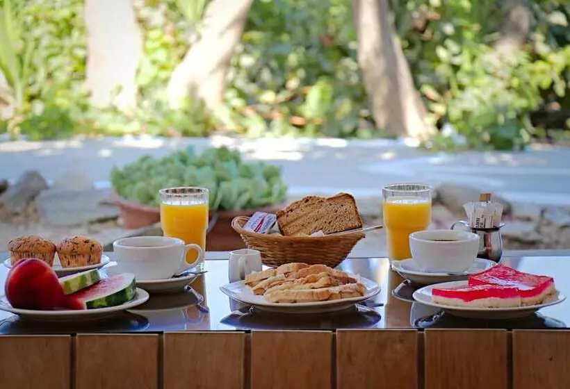 ペンション Ailouros Guest House