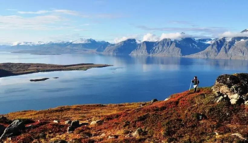 ペンション Håkon Gjestehus