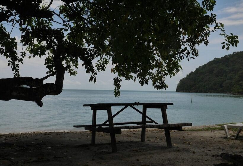 膳宿费 Wild Pasir Panjang Villas