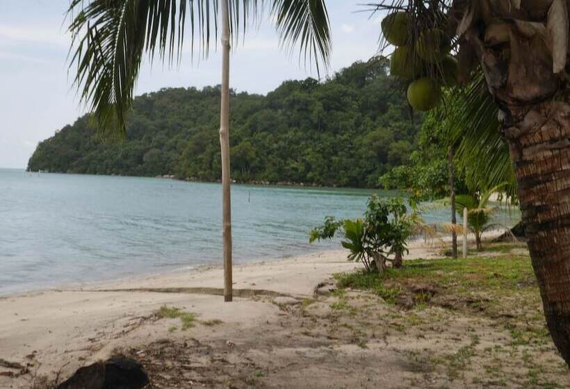 膳宿费 Wild Pasir Panjang Villas