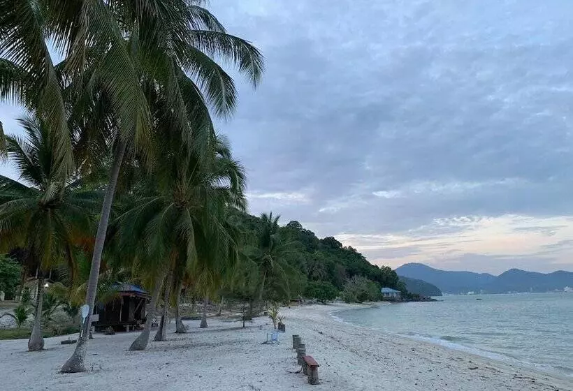 ペンション Wild Pasir Panjang Villas