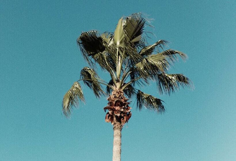 Villa In Reunion Resort & Spa 1292