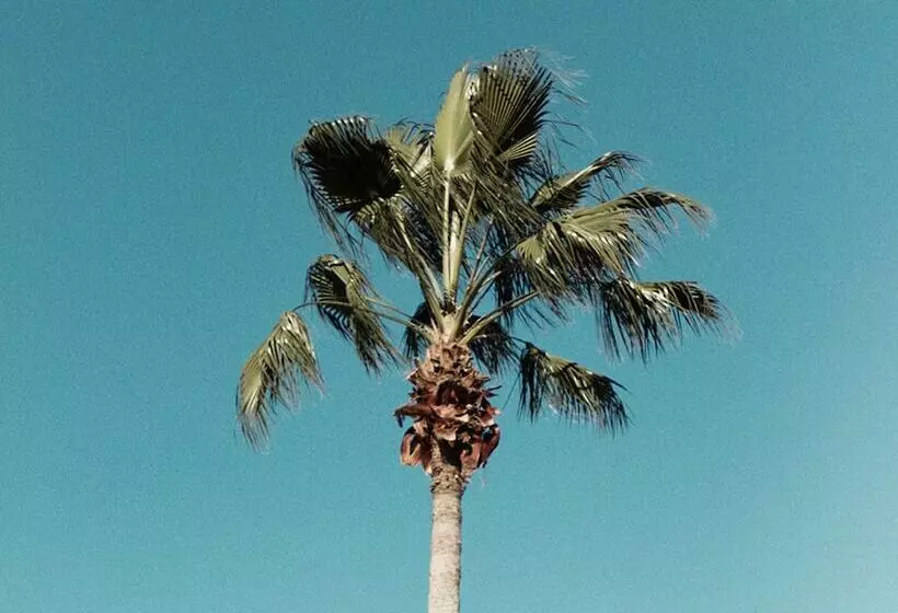 Villa In Reunion Resort & Spa 1292