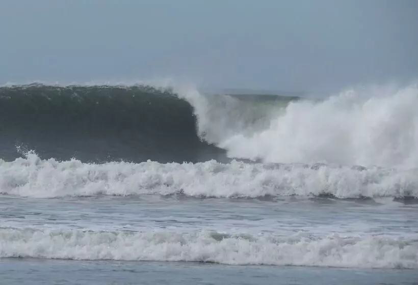 Hotel Azul Surf Club