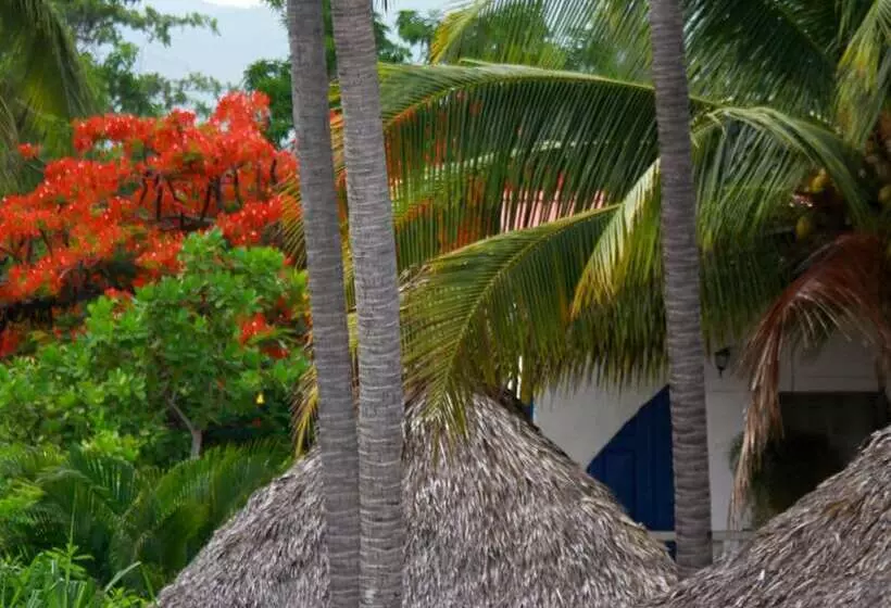 Hotel Azul Surf Club