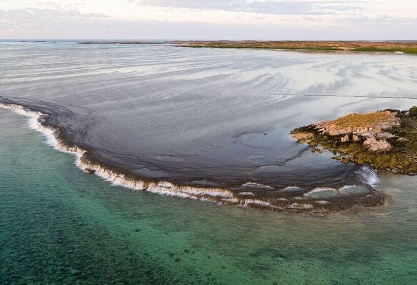 ホテル Cygnet Bay Pearl Farm