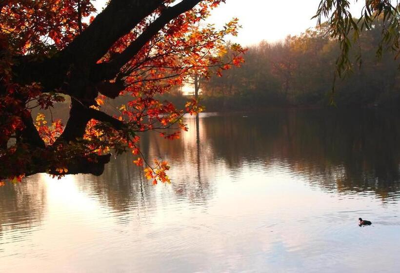 בית מלון כפרי Inn On The Lake