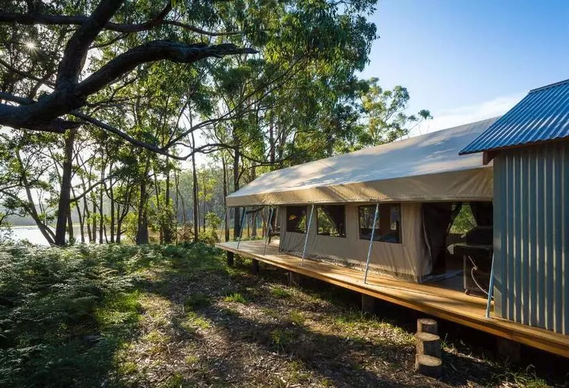 酒店 Tanja Lagoon Camp