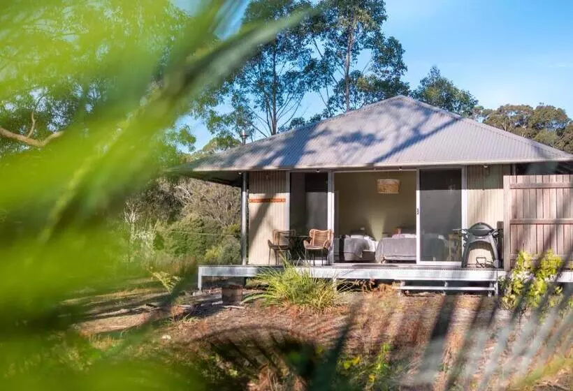 酒店 Tanja Lagoon Camp