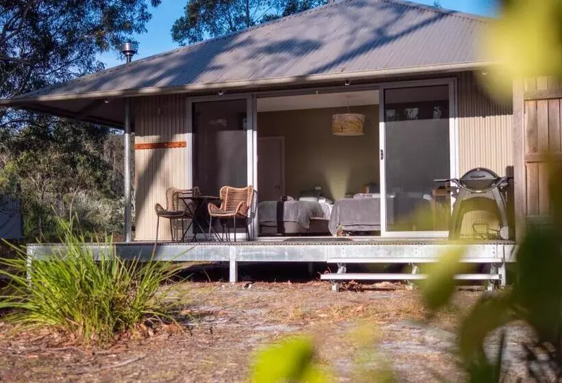 酒店 Tanja Lagoon Camp