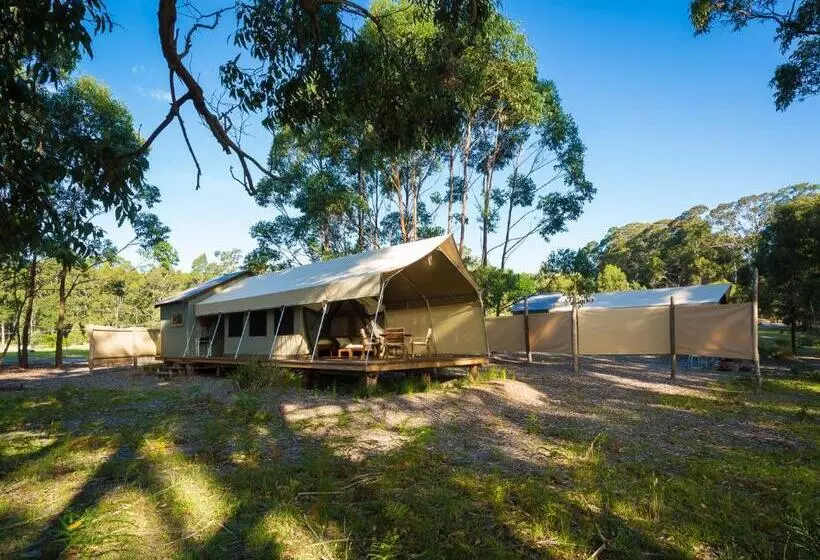 酒店 Tanja Lagoon Camp