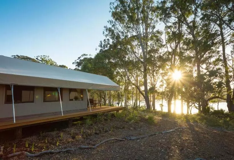 酒店 Tanja Lagoon Camp