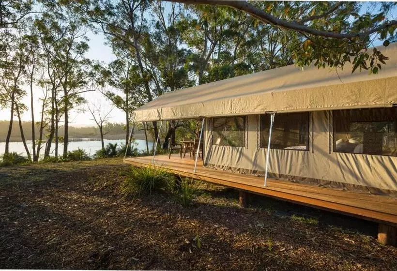 酒店 Tanja Lagoon Camp