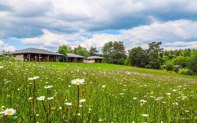 Отель Vacanceole Le Domaine Des Monedieres