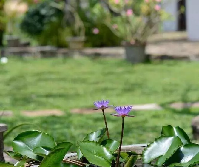 Hotel Warahena Walauwa