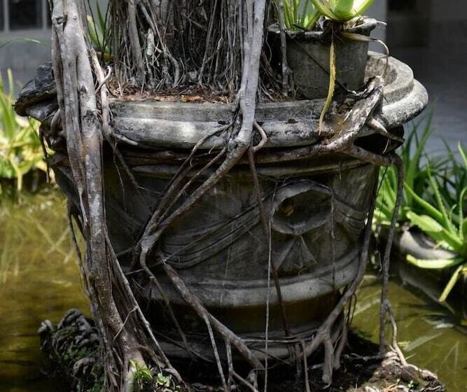 Отель Warahena Walauwa