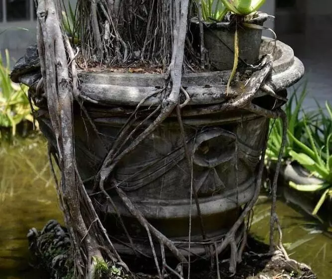 Hotel Warahena Walauwa