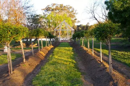 بنسيون Highton Manor