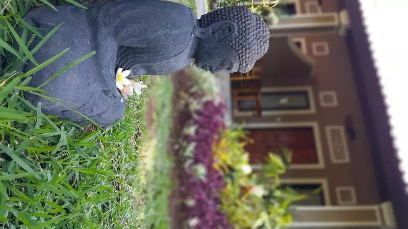 Пансион Mango Tree Inn