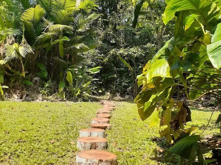 ユースホステル Tambopata Guest House