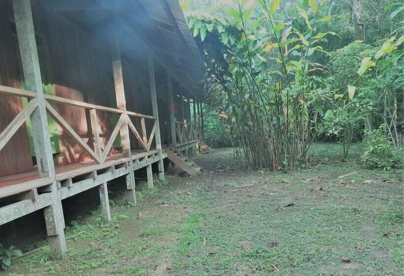 هاستل Tambopata Guest House