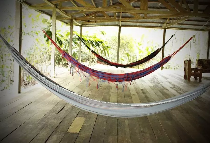 ユースホステル Tambopata Guest House