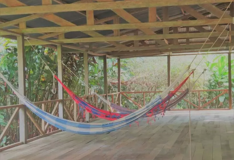 ユースホステル Tambopata Guest House