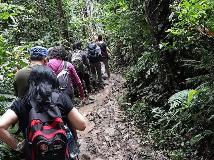 ユースホステル Tambopata Guest House