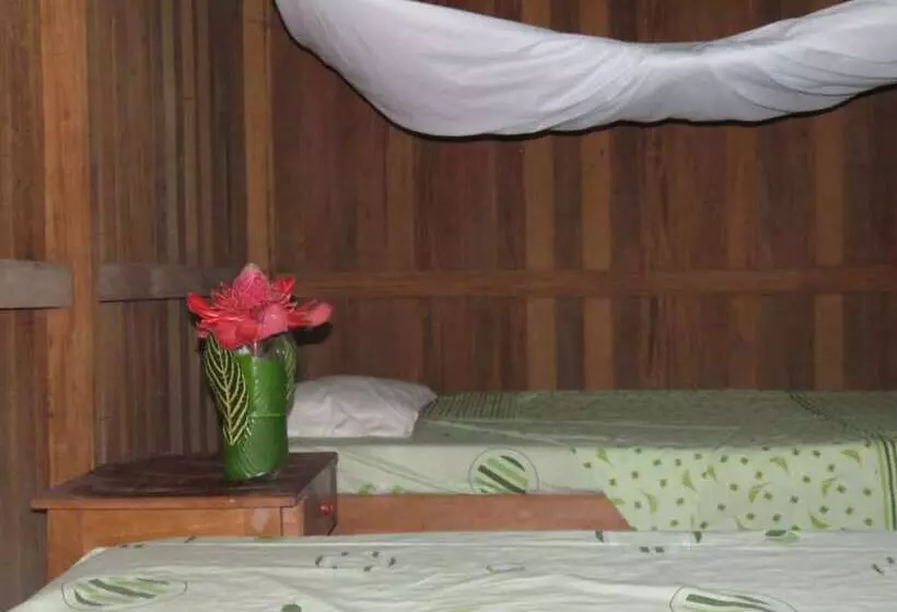 ユースホステル Tambopata Guest House