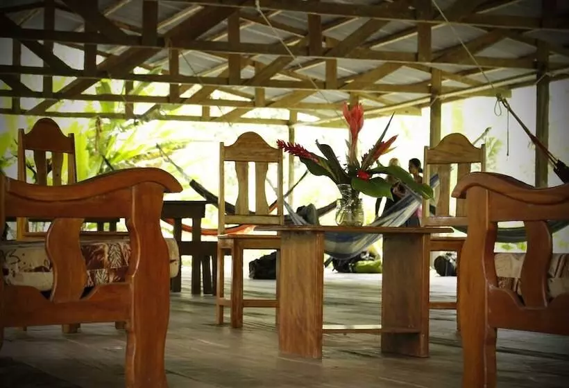 ユースホステル Tambopata Guest House