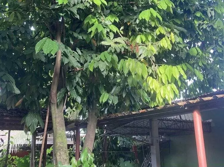Aamiaismajoitus (B&B) Pousada Nossa Casa Cama & Café