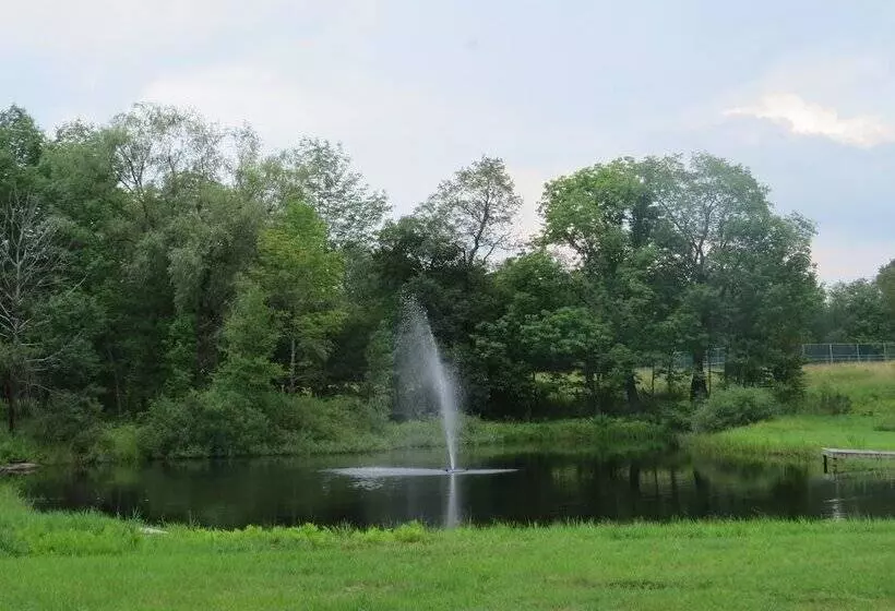 Equestrian House  Andalusian Suite