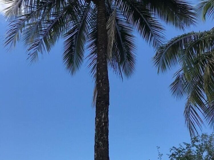 Hospedaje La Carachama   Hostel