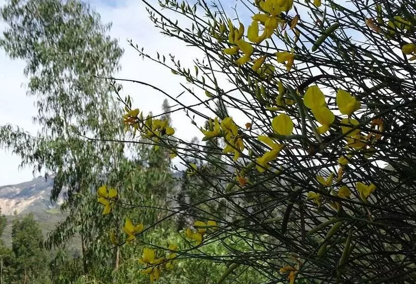 ホテル Departamentos Bellavista Deluxe  Huaraz