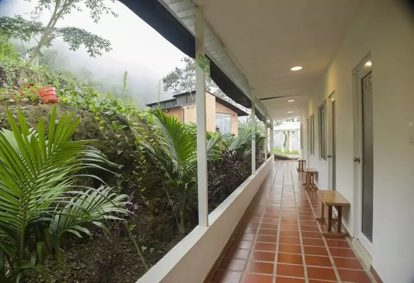 Hotelli Finca El Porvenir Magia En La Montaña