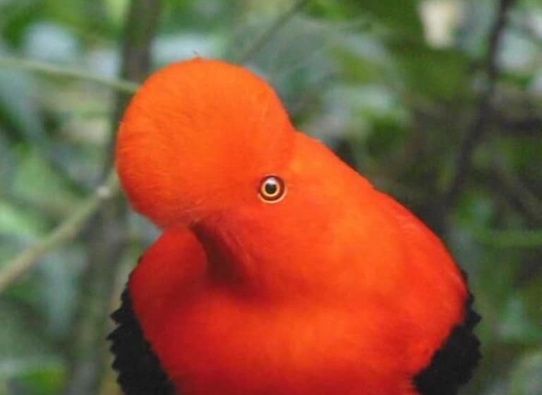 酒店 Jardin Es Tuyo