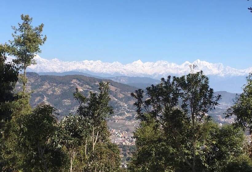 هتل Lala Palace Resort