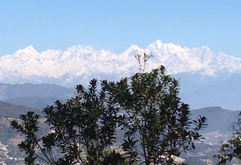 هتل Lala Palace Resort