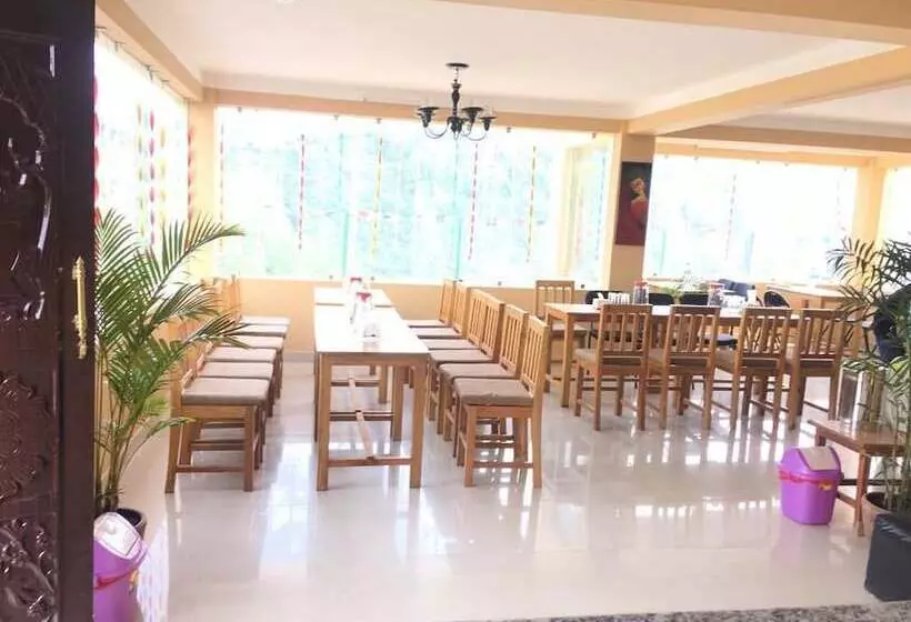 هتل Lala Palace Resort