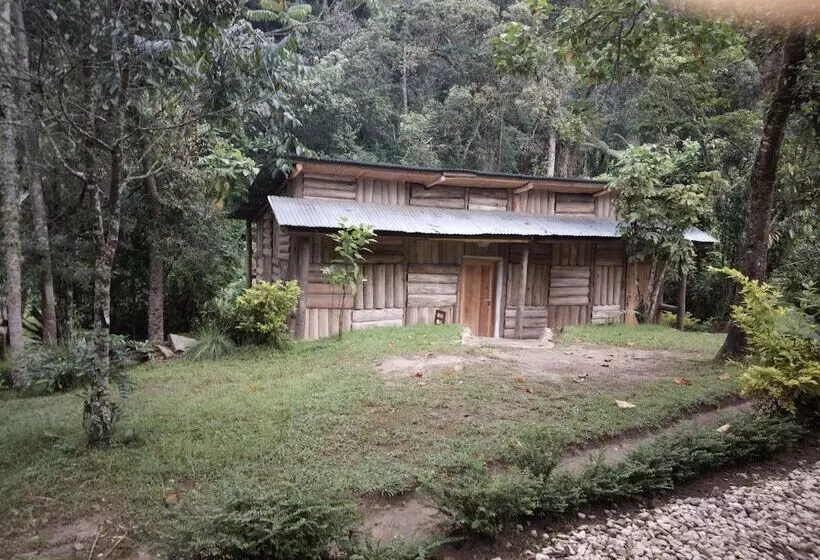 هتل Nshongi Camp