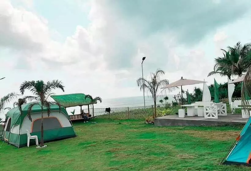 Hotelli Pacific Buddies   Campsite