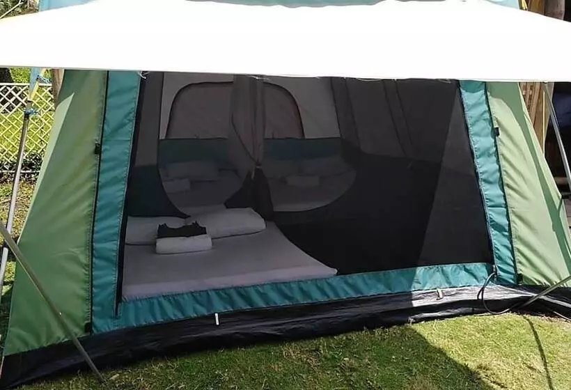 Hotelli Pacific Buddies   Campsite