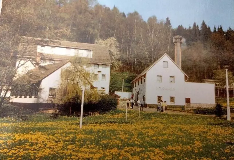 Hotelli Restaurant Walkmühle