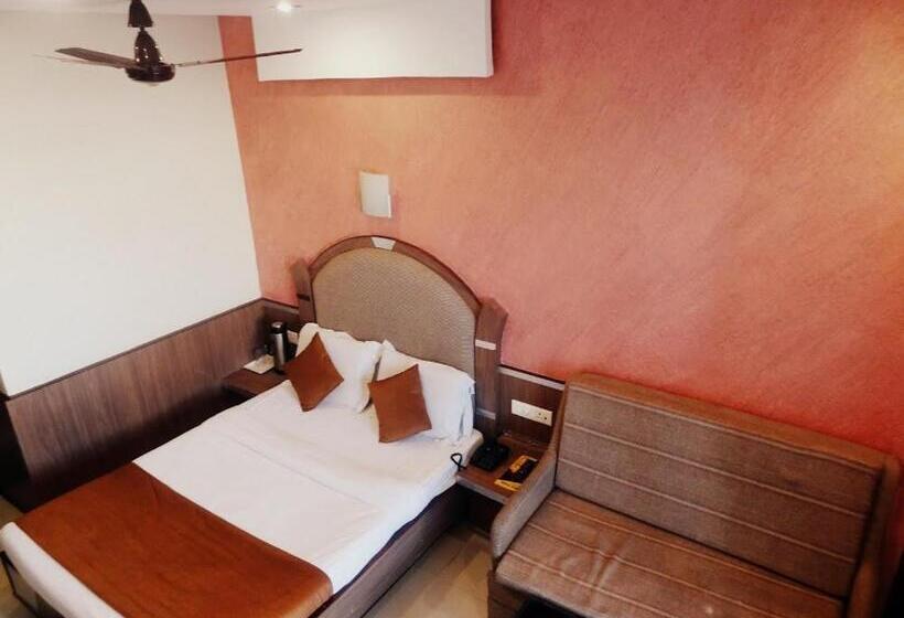 Отель Vishal Plaza