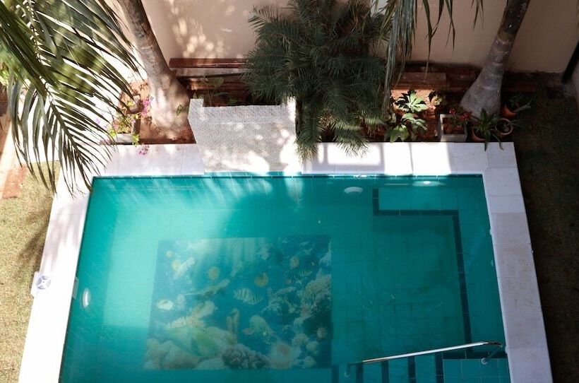 پانسیون Casa Boutique Bèla Sofía